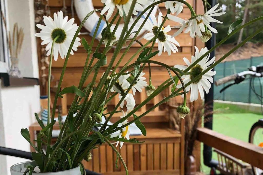 Apartament Nad Morzem „Przy Klifie” Debina  Luaran gambar